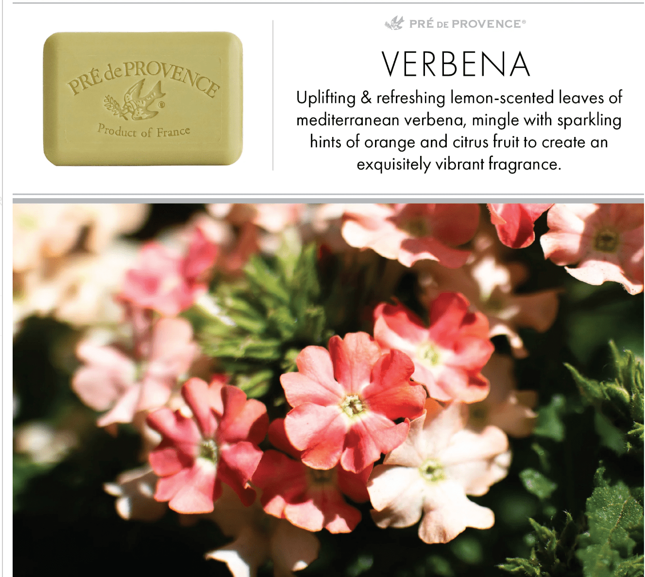 Luxury French Milled Soap. - Verbena (250G) - Lizzy G's Fine Gifts