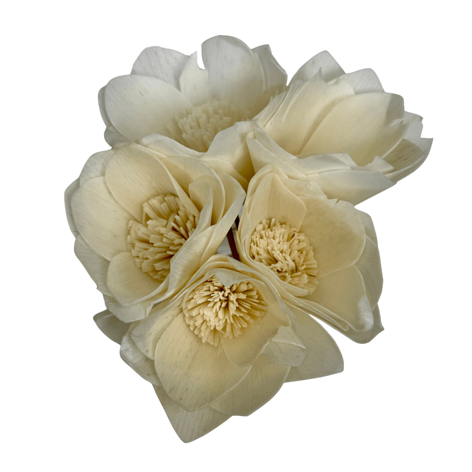 Mandarin Marmalade Flower Diffuser - Lizzy G's Fine Gifts