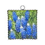 Mini Gallery Print - Bluebonnets - Lizzy G's Fine Gifts