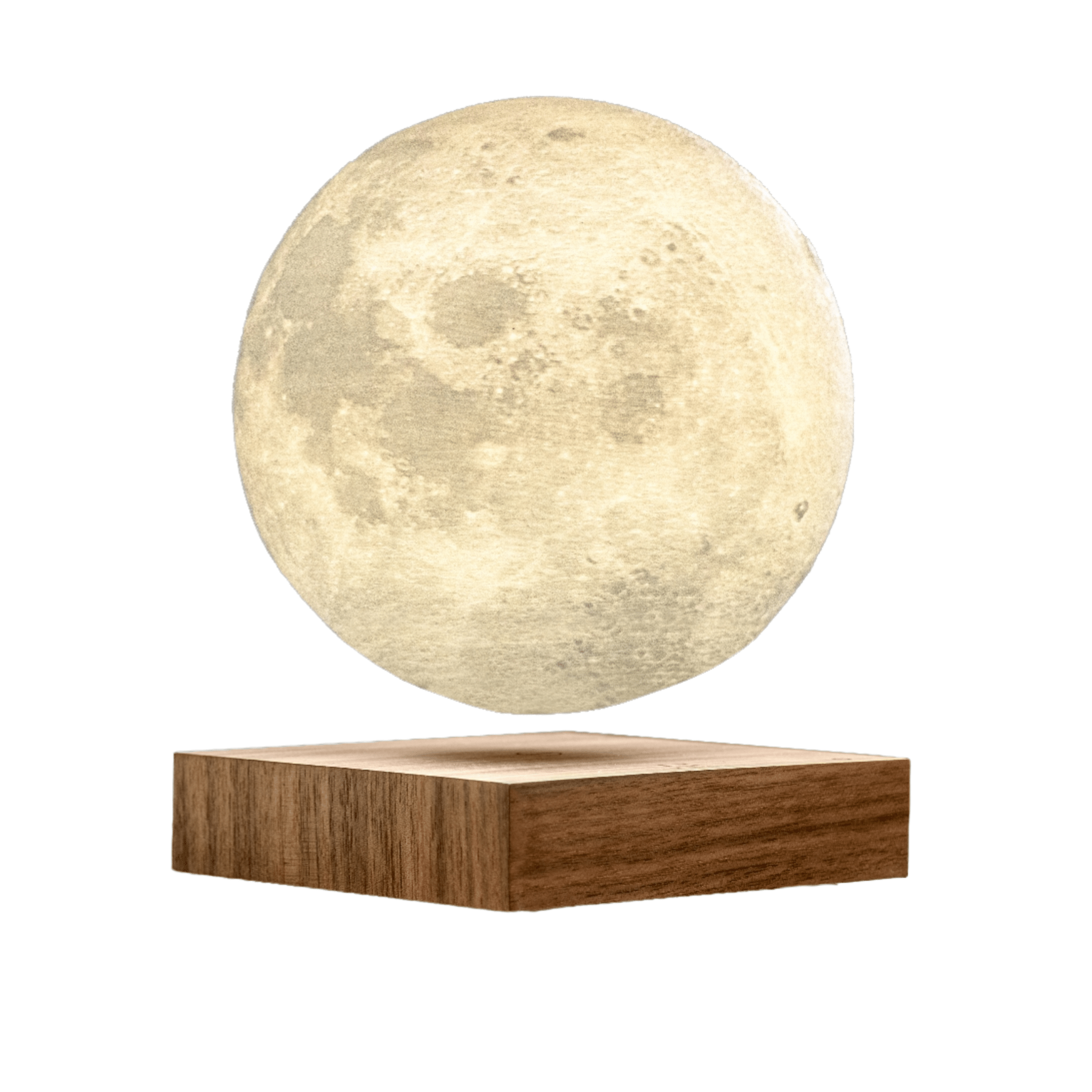 Moon Lamp - Lizzy G's Fine Gifts
