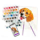 Paint Your Photo by Number Kit - Lizzy G's Fine Gifts