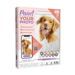 Paintable Picture - Lizzy G's Fine Gifts
