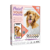 Paintable Picture - Lizzy G's Fine Gifts