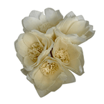 Peony Diffuser - Lizzy G's Fine Gifts