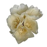 Peony Diffuser - Lizzy G's Fine Gifts