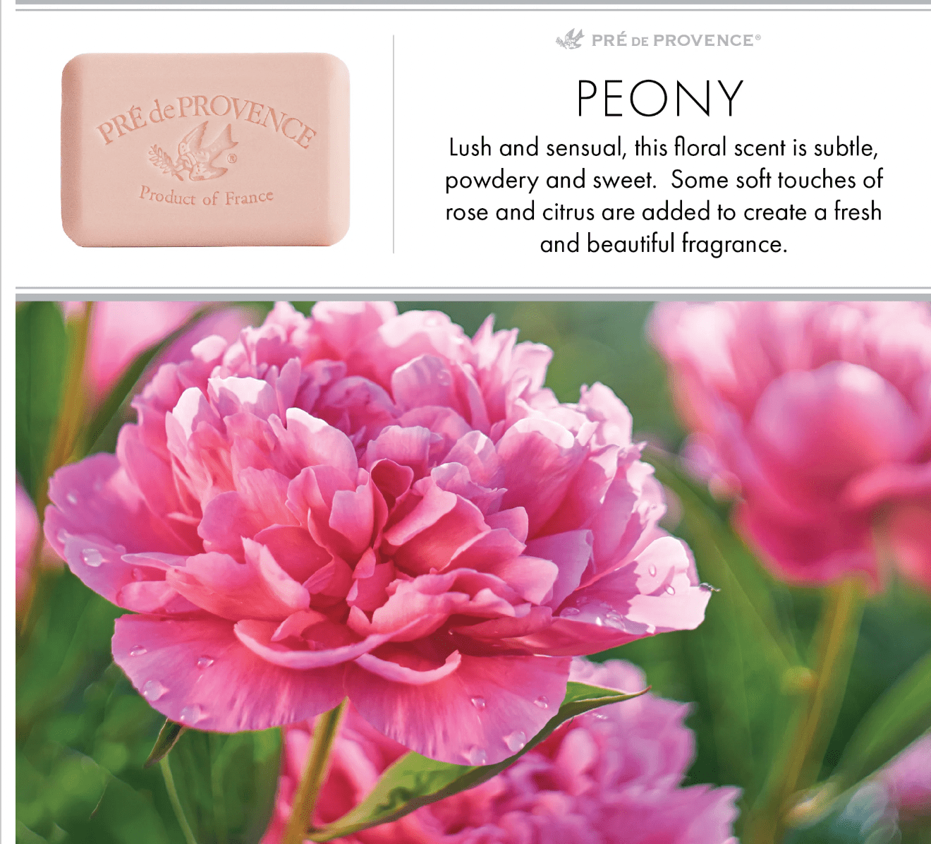 Peony Soap Bar - Lizzy G's Fine Gifts