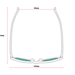 Polarized Sunglasses - Dinotopia Carnival - Lizzy G's Fine Gifts