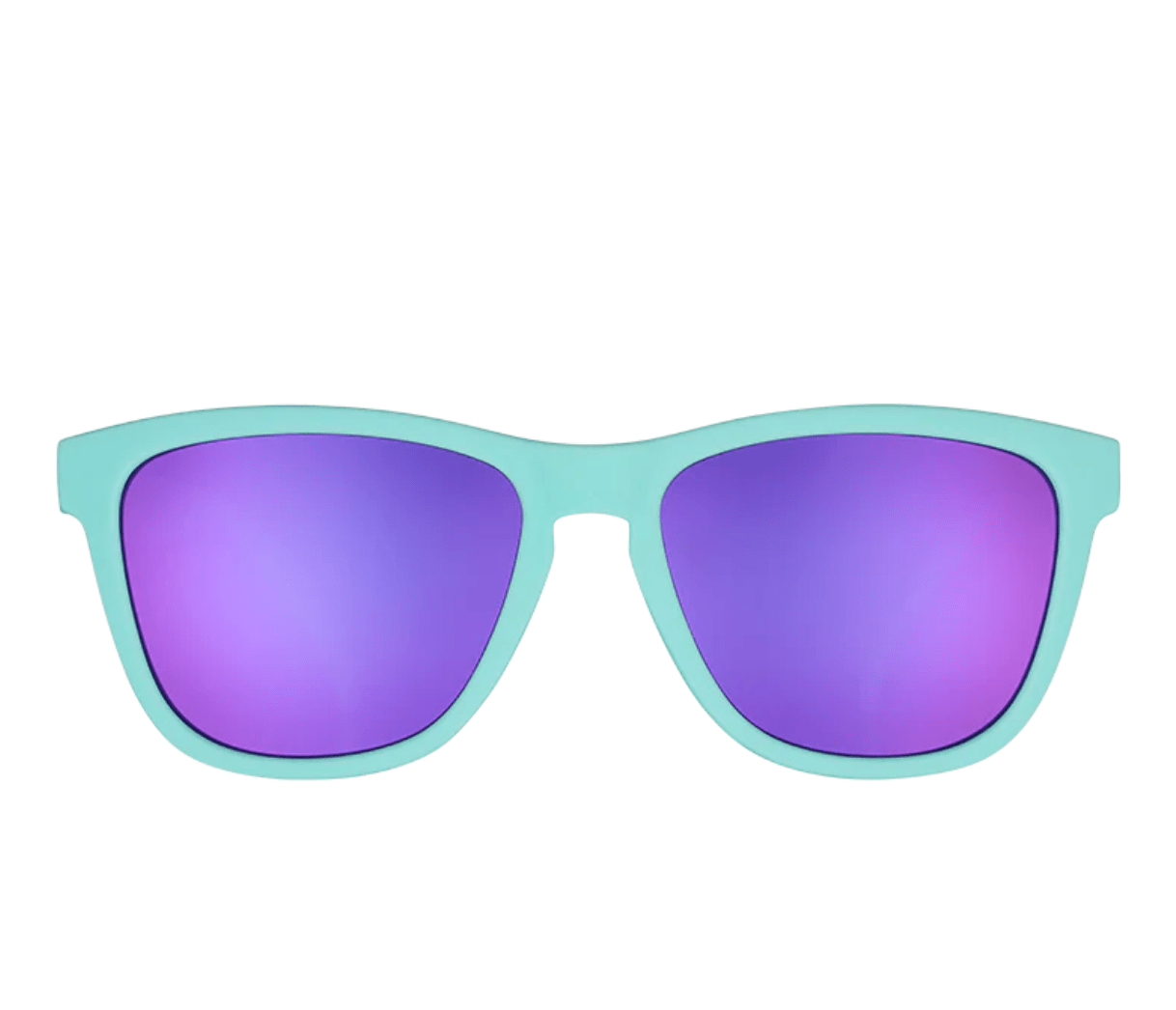 Polarized Sunglasses - Dinotopia Carnival - Lizzy G's Fine Gifts