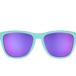 Polarized Sunglasses - Dinotopia Carnival - Lizzy G's Fine Gifts