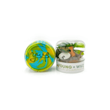 Sensory Dough Jar - Dinosaur - Lizzy G's Fine Gifts
