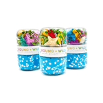 Sensory Dough Jar - Ocean - Lizzy G's Fine Gifts