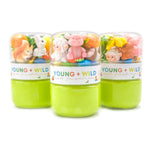 Sensory Dough Jar - Spring Animals - Lizzy G's Fine Gifts