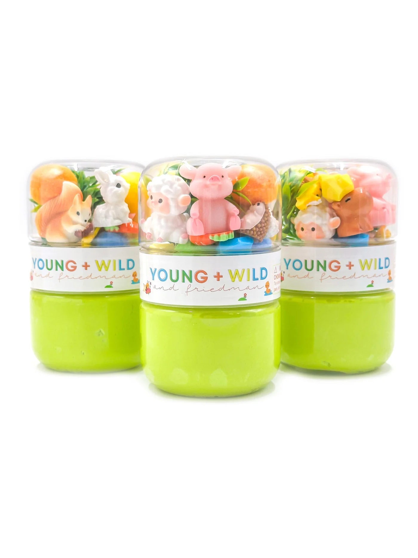 Sensory Dough Jar - Spring Animals - Lizzy G's Fine Gifts