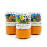 Sensory Dough Jar - Zoo - Lizzy G's Fine Gifts