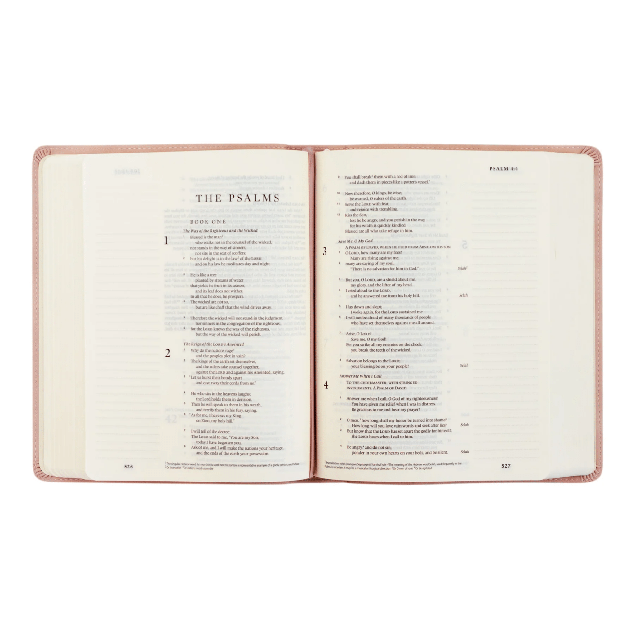 Shiloh ESV Journaling Bible - Lizzy G's Fine Gifts