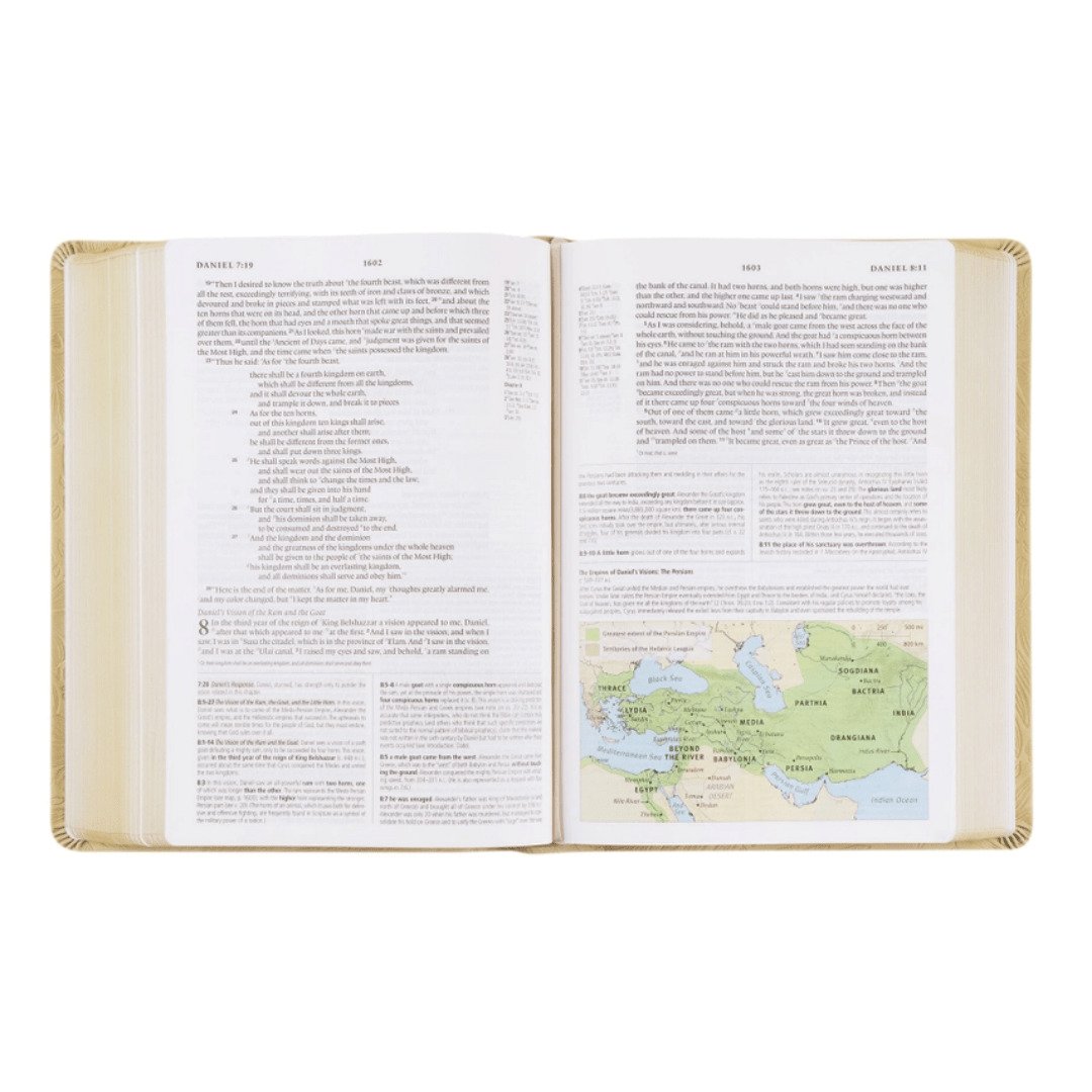 Sonora ESV Study Bible - Lizzy G's Fine Gifts