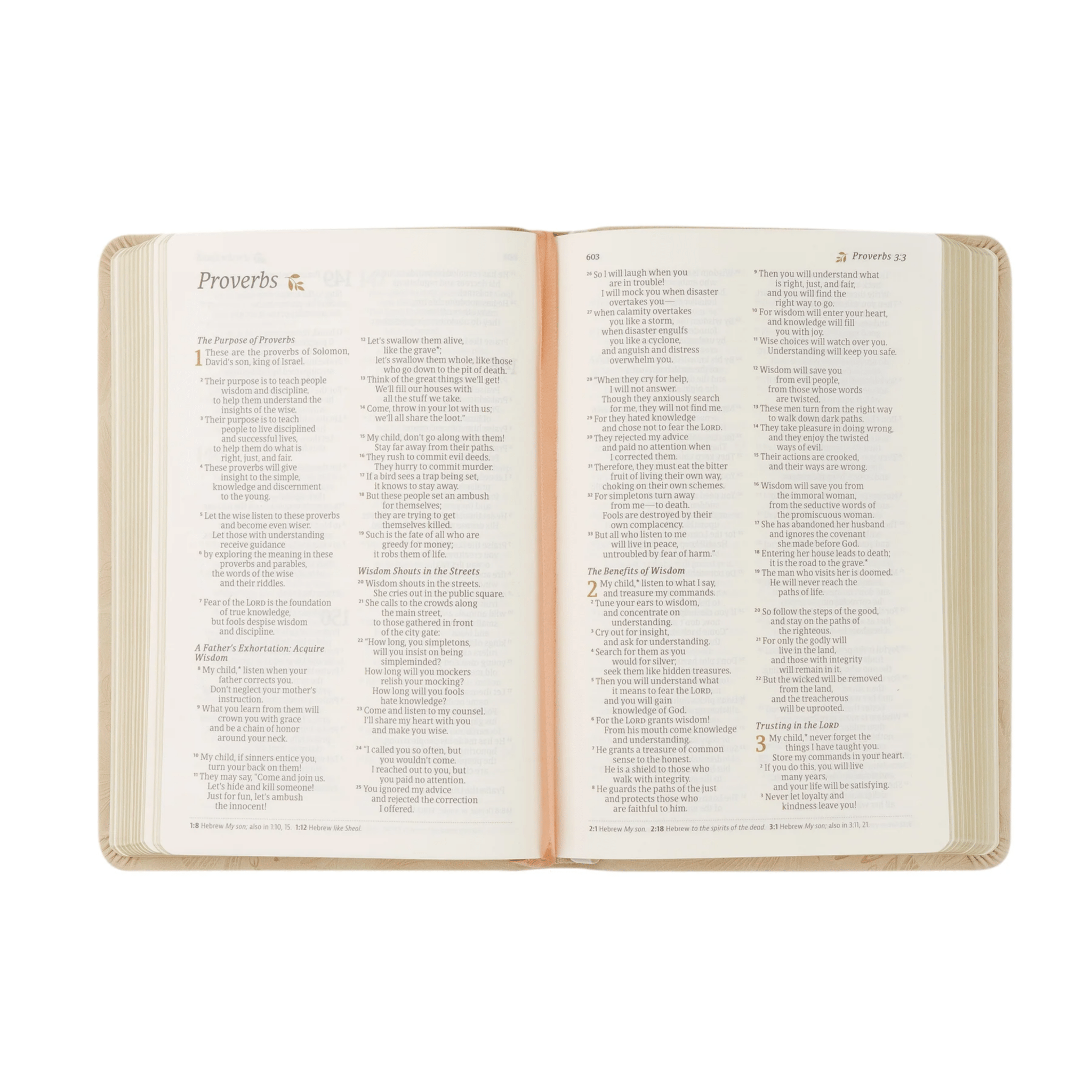 Sonora NLT Compact Bible - Lizzy G's Fine Gifts