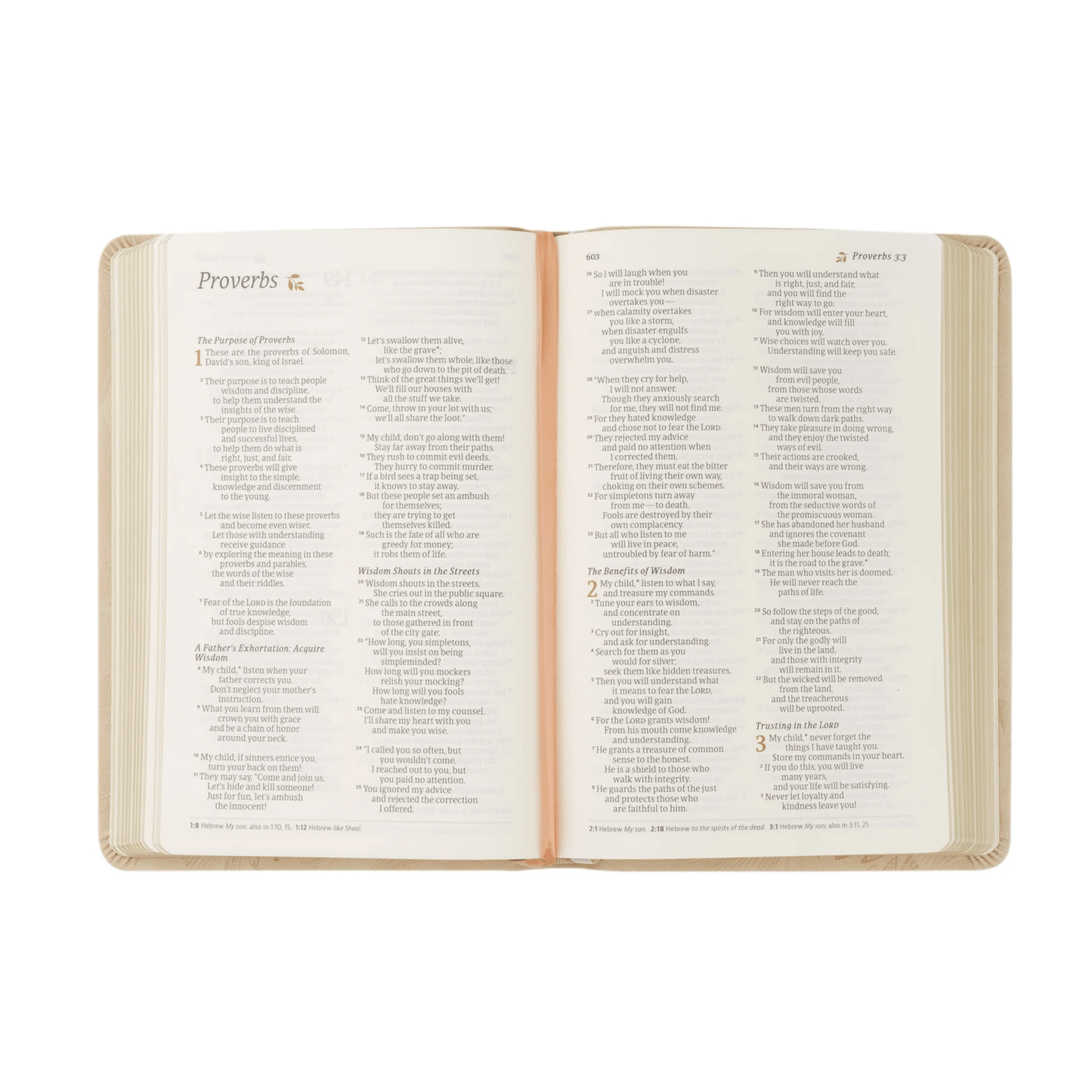 Sonora NLT Compact Bible - Lizzy G's Fine Gifts