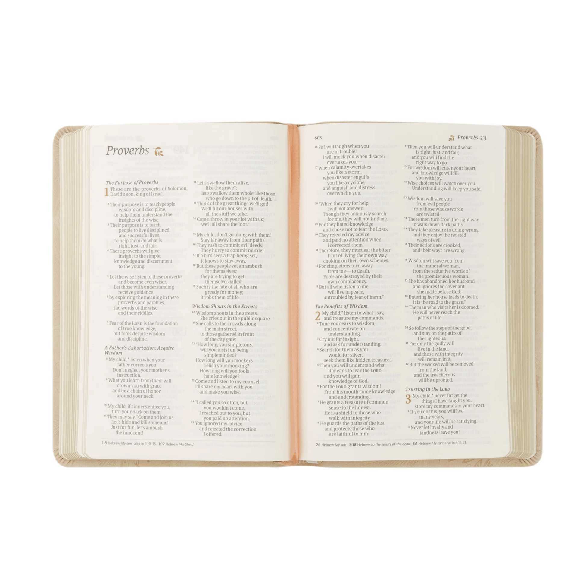 Sonora NLT Compact Bible - Lizzy G's Fine Gifts