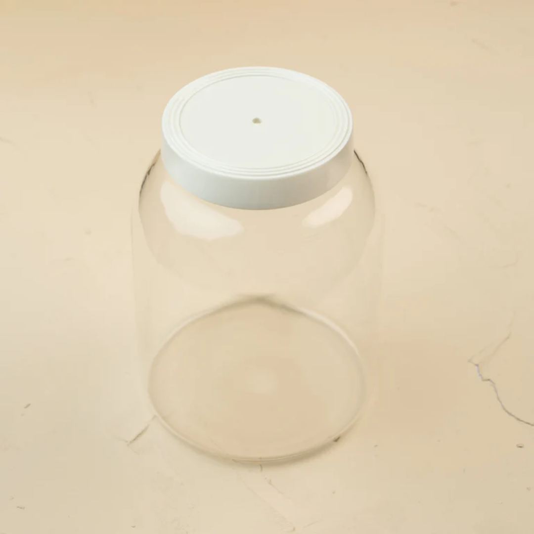 Super-Duper Glass Canister - Lizzy G's Fine Gifts