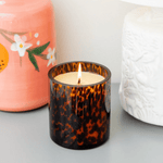 Sweet Grace Tortoise Candle - Lizzy G's Fine Gifts
