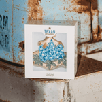 Texas Bluebonnet Ornament - 2026 - Lizzy G's Fine Gifts