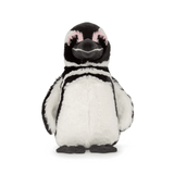 Track a Penguin Plush - Lizzy G's Fine Gifts