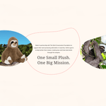 Track a Sloth Plush - Lizzy G's Fine Gifts