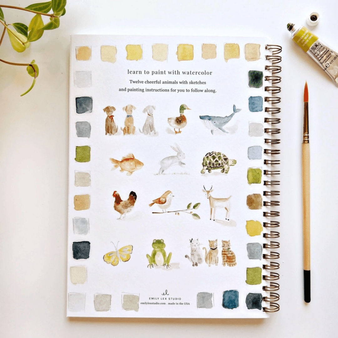 Watercolor Painting Workbook - Lizzy G's Fine Gifts
