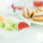 Watermelon Mini - Lizzy G's Fine Gifts